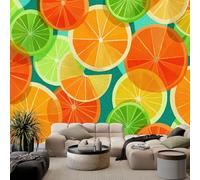Générique Papier peint intissé aquarelle fruit agrumes 450L x 280H cm, fresque murale design exotisme pour chambre et bureau - Papier peint panoramique facile à poser - décoration murale amovible