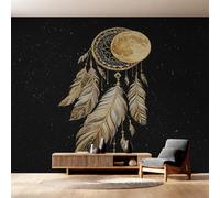 Générique Papier Peint Intissé Attrape-Rêves Doré, Papier Peint Panoramique Ciel Étoilé Céleste pour Salon Chambre Bureau Couloir, Décoration Murale, 300 x 250 cm (L x H) Y&W91