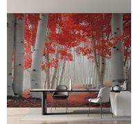 Générique Papier Peint Intissé Bouleaux, Papier Peint Panoramique Paysage Automne Forêt pour Salon Chambre Bureau Couloir, Décoration Murale, 500 x 350 cm (L x H) Y&W53