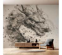 Générique Papier Peint Intissé Dragon Chinois, Papier Peint Panoramique Animaux Mythologie Oriental 500x350 cm, Papiers Peints Beige Gris Décoration Murale Salon Chambre w6g14
