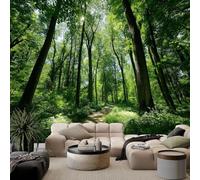 Générique Papier Peint Intissé effet 3D Réaliste Naturel Lumière du Soleil Forêt, Papier Peint Panoramique Vert - RevêTement Mural DéCoration Salon Chambre Fond de TV 400 x 280 cm (L x H)