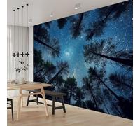 Générique Papier peint intissé Forêt Cime Des Arbres 450 x 280 cm (W x H) Toison Mur Tableaux Muraux Tapisserie Photo Décoration Murale Salon Chambre Ciel Étoilé Bleu
