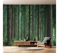 Générique Papier Peint Intissé Forêt Naturelle, Papier Peint Panoramique Paysage Naturel Arbre 366x254 cm, Papiers Peints Vert Marron Décoration Murale Salon Chambre w6g14