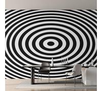 Générique Papier Peint Intissé Illusion d'optique, Papier Peint Panoramique Spirale Noir et Blanc pour Salon Chambre Bureau Couloir, Décoration Murale, 250 x 175 cm (L x H) Y&W18