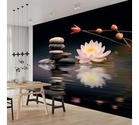 Générique Papier peint intissé Lac Sombre 400 x 280 cm (W x H) Toison Mur Tableaux Muraux Tapisserie Photo Décoration Murale Salon Chambre Lotus Pierres