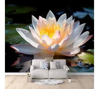 Générique Papier Peint Intissé Lotus 300 × 210 cm Papier Peint Géant 3D Poster Salon Chambre Salle à Manger Chambre d'Enfant Décoration Murale - Fleurs Et Plantes D'étang -a-a-18036-c-a