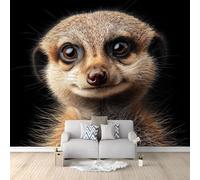 Générique Papier Peint Intissé Panoramique Animaux Suricates Portraits Mignon Nature 400 x 280 cm Noir - Tapisserie Fresque Murale Décoration d'intérieur pour Chambre et Salon