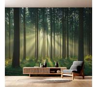 Générique Papier Peint Intissé Paysage Naturel, Papier Peint Panoramique Lever de Soleil Forêt Paysage 310x250 cm, Papiers Peints Vert Décoration Murale Salon Chambre w6g14