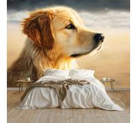 Générique Papier Peint Intissé Peinture À L'Huile Animal Golden Retriever Panoramique Papier Peint 350x256 cm pour Salon Chambre Décoration Murale pour Adolescents et Enfants Murale