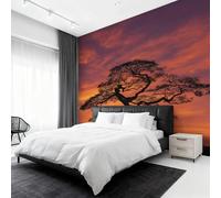 Générique Papier Peint Intissé Pin, Papier Peint Panoramique Coucher de Soleil Paysage pour Salon Chambre Bureau Couloir, Décoration Murale, 300 x 210 cm (L x H) Y&W68