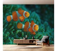 Générique Papier Peint Intissé Poisson-Clown, Papier Peint Panoramique Poisson Monde Sous-Marin 310x250 cm, Papiers Peints Orange Vert Décoration Murale Salon Chambre w6g14
