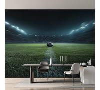 Générique Papier Peint Intissé Terrain de Football, Papier Peint Panoramique Terrain de Football Sport Garçons pour Salon Chambre Bureau Couloir, Décoration Murale, 250 x 175 cm (L x H) Y&W34
