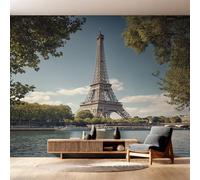 Générique Papier Peint Intissé Tour Eiffel, Papier Peint Panoramique Paysage Urbain Paris pour Salon Chambre Bureau Couloir, Décoration Murale, 250 x 175 cm (L x H) Y&W50