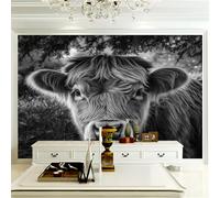 Générique Papier peint intissé Vache Des Highlands 400 x 280 cm (W x H) Animal Toison Mur Tableaux Muraux Tapisserie Photo Décoration Murale Salon Chambre