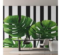 Générique Papier Peint Monstera Papier Peint Panoramique Rayures Noires et Blanches Tropical Papiers Peints Intissé Fresque Murale, Decoration Chambre Salon Wallpaper, 450 x 315 cm LI&E5
