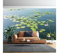 Générique Papier Peint Mural Autocollant Amovible À Motif De Feuilles De Lotus Et De Paysage Lacustre, 290 Cm (H) X 480 Cm (L), Art Moderne, Pour Salon Et Chambre-Revêtement Mural Imperméable