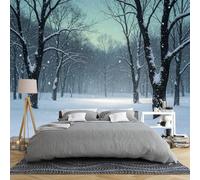 Générique Papier Peint Mural Intissé 3D Panoramique Représentant Une Forêt Enneigée En Hiver 300 × 210 Cm Décoration Murale Idéale Pour Une Chambre Un Salon Ou Toute Autre Pièce Dimensions : 300 × 21