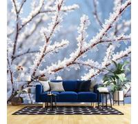 Générique Papier Peint Mural Intissé « Branches Givrées D'Hiver », Affiche Photo, Décoration Intérieure, Effet Panoramique 3D, Paysage Naturel, Art Mural Pour Salon Ou Bureau, 500 Cm (L) X 3