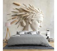 Générique Papier Peint Mural Intissé Représentant Une Déesse Grecque En Relief 3D Un Visage De Femme Abstrait 400 × 280 Cm Style Vintage Portrait Grande Décoration Murale Pour Chambre Ou Salon