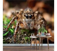 Générique Papier Peint Panoramique 300 x 210 cm Araignée Fresque Murale 3D Arthropodes sur mesure taille Papier Peint Intisse pour Salon Chambre Décoration Murale