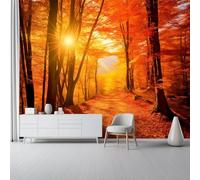 Générique Papier Peint Panoramique 350 x 256 cm - Nature Bois D'Automne Chemin Forestier Papier Peint Intissé pour Chambre Salon Bureau, Couleur Orange Personnalisé Décoration Murale