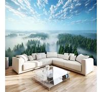 Générique Papier Peint Panoramique 3D 300x210 cm Forêt Brumeuse Non-tissé Murale Maison Décoration Intérieure Paysage Naturel pour Chambre Salon Mur TV Artistique Poster Décoration Murale 1M776