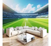 Générique Papier Peint Panoramique 3D 300x210 cm Terrain De Football Non-tissé Murale Maison Décoration Intérieure Football pour Chambre Salon Mur TV Artistique Poster Décoration Murale 1M740