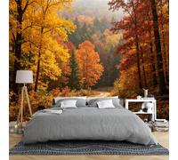 Générique Papier Peint Panoramique 3D Intissé Représentant Un Chemin Forestier D'Automne 100 × 70 Cm Motif Forêt Dorée Idéal Pour La Décoration De Votre Chambre Ou Salon Dimensions 100 × 70 Cm (L × H