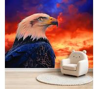 Générique Papier Peint Panoramique 400 x 280 cm Aigle à tête blanche faune sauvage Art Photo Murale Chambre Décor, Papier Peint intissé fond pour Chambre D'Enfant Adolescent Maternelle Murale