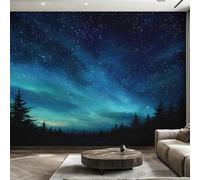 Générique Papier Peint Panoramique Aurore Boréale, Papier Peint Ciel Étoilé Aurores Boréales Fond pour Chambre Wallpaper, Fresque Murale pour Salon Salle Deco Murale, 100x70cm D&O145