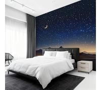 Générique Papier Peint Panoramique Ciel Étoilé, Papier Peint Lune Ciel Nocturne Fond pour Chambre Wallpaper, Fresque Murale pour Salon Salle Deco Murale, 366x254cm D&O199