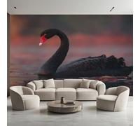 Générique Papier Peint Panoramique Cygne Noir, Papier Peint Cygne Animal Moderne 450 x 260 cm, Photo Décoration Murale, Papiers Peints Intissé Décoration Murale Salon Chambre EL&D61