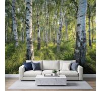 Générique Papier Peint Panoramique Forêt Bouleaux Herbe Verte 400x280 cm Décoration Murale Nature, Tapisserie Murales Papier Peint Intissé pour Salon Chambre Poster Tableaux Photo Muraux