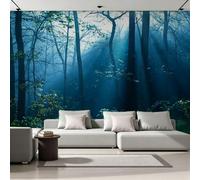 Générique Papier Peint Panoramique Forêt Lumière Intissé Poster Fresque Murale 3D Nature Paysages Wallpaper pour Salon Chambre d'enfant Restaurant Couloir TV Fond Décoration Murale 300x210 cm H1483