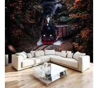 Générique Papier Peint Panoramique Former Intissé Poster Fresque Murale 3D Forêt Voiture à Vapeur Décoration Murale Art Wallpaper pour Salon Cuisine Bureau Chambre d'enfant 400x280 cm R-310