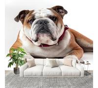 Générique Papier Peint Panoramique Intissé 400x280 cm Animaux Bouledogue Amovible Format Personnalisé Papier Peint Photo Blanc Murale Salon Chambre Chambre d'enfants Stickers muraux