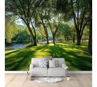 Générique Papier Peint Panoramique Intissé Champêtre Parc Pelouse Ombre D'Arbre Rivière 400 x 280 cm, Poster Géant Mural Effet 3D, Décoration Murale pour Salon Chambre - Vert Sauge