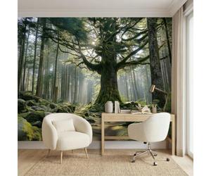 Générique Papier Peint Panoramique Intissé Forêt Primitive Arbre Ancien 400 x 280cm - Chic Plantes Scène Photo Décoration Murale Salon Chambre Chambre D'Enfant - Facile d’entretien Revêtement Mural