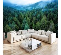 Générique Papier Peint Panoramique Intissé Nature Forêt Brouillard Arbre Paysage 200 x 140 cm, Poster Géant Mural Effet 3D, Décoration Murale pour Salon Chambre - Vert Foncé