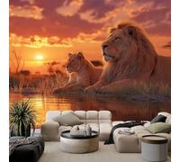 Générique Papier Peint Panoramique lion d'Afrique 350x256 cm Papier Peint Intissé Mural, Poster Geant Mural 3D, pour Salon Chambre d'enfants restaurant Décoration Murale