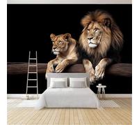 Générique Papier Peint Panoramique Lion Et Lionne Mâles 350x256 cm Papier Peint Intissé Mural, Poster Geant Mural Impression 3D, pour Salon Chambre d'enfants restaurant Décoration Murale
