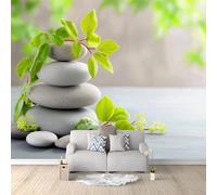 Générique Papier Peint Panoramique Minimaliste Zen Pierres Branches Plantes Gris Graphite, Poster Mural Géant Intissé, Tapisserie pour Décoration Salon et Chambre d'Enfants 400 x 280 cm