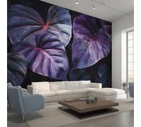 Générique Papier Peint Panoramique Monstera Violet, Papier Peint Monstera Feuille Tropicale 310 x 250 cm, Photo Décoration Murale, Papiers Peints Intissé Décoration Murale Salon Chambre EL&D63