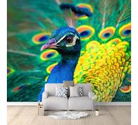 Générique Papier peint Panoramique Paon Plumes Élégance Photographie Art 250 x 175 cm, Décoration Murale intissé - Décoratif Salon Salle de Bain Chambre d'enfant Vert