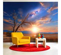 Générique Papier Peint Panoramique Voie Lactée Ciel Étoilé, 300 x 210 cm Arbre Mort Champ Soleil, Papier peint photo non tissé, pour Salon Chambre d'enfant Chambre Décoration Poster Papier Peint