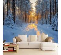 Générique Papier Peint Pelable Et Autocollant Blanc Comme Neige Fresque Murale 3D Autocollante Hiver Mural Pour Adultes Enfants Chambre Photo Art Décor Peintures 350 x 245 cm