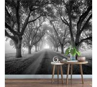 Générique Papier Peint Pelable Et Autocollant Grand Arbre Fresque Murale 3D Autocollante Route Mural Pour Adultes Enfants Chambre Photo Art Décor Peintures 140 x 100 cm