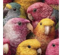 Générique Papier peint Perroqu Peint épais mat 44x500 cm à décoller et à coller Mignon Animaux Oiseaux papier de contact autocollant en plastique avec dos adhésif couverture de plan de travail table