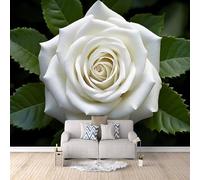 Générique Papier Peint Photo Fleurs 400x280 cm Poster Plante Impression 3D Couleurs Vives Pas de support adhésif Tissu Intissé Installation Facile et Durable pour Salon Chambre Bureau Restaurant
