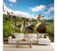 Générique Papier Peint Photo Non Tissé 350x256 cm Prairies Ferme Canard Effets 3D Photo Geant Mural Wallpaper Mat Image Muraux Poster pour Salon Chambre Couloir Bureau Salon Décoration Murale